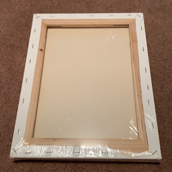 11x14 pack of 2 canvases - Picture 2 of 3